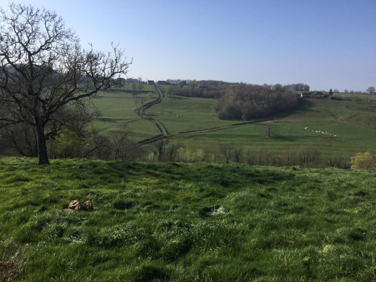 Gite De Belle Vue Semur-en-Brionnais Exteriör bild