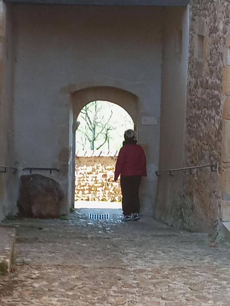 Gite De Belle Vue Semur-en-Brionnais Exteriör bild