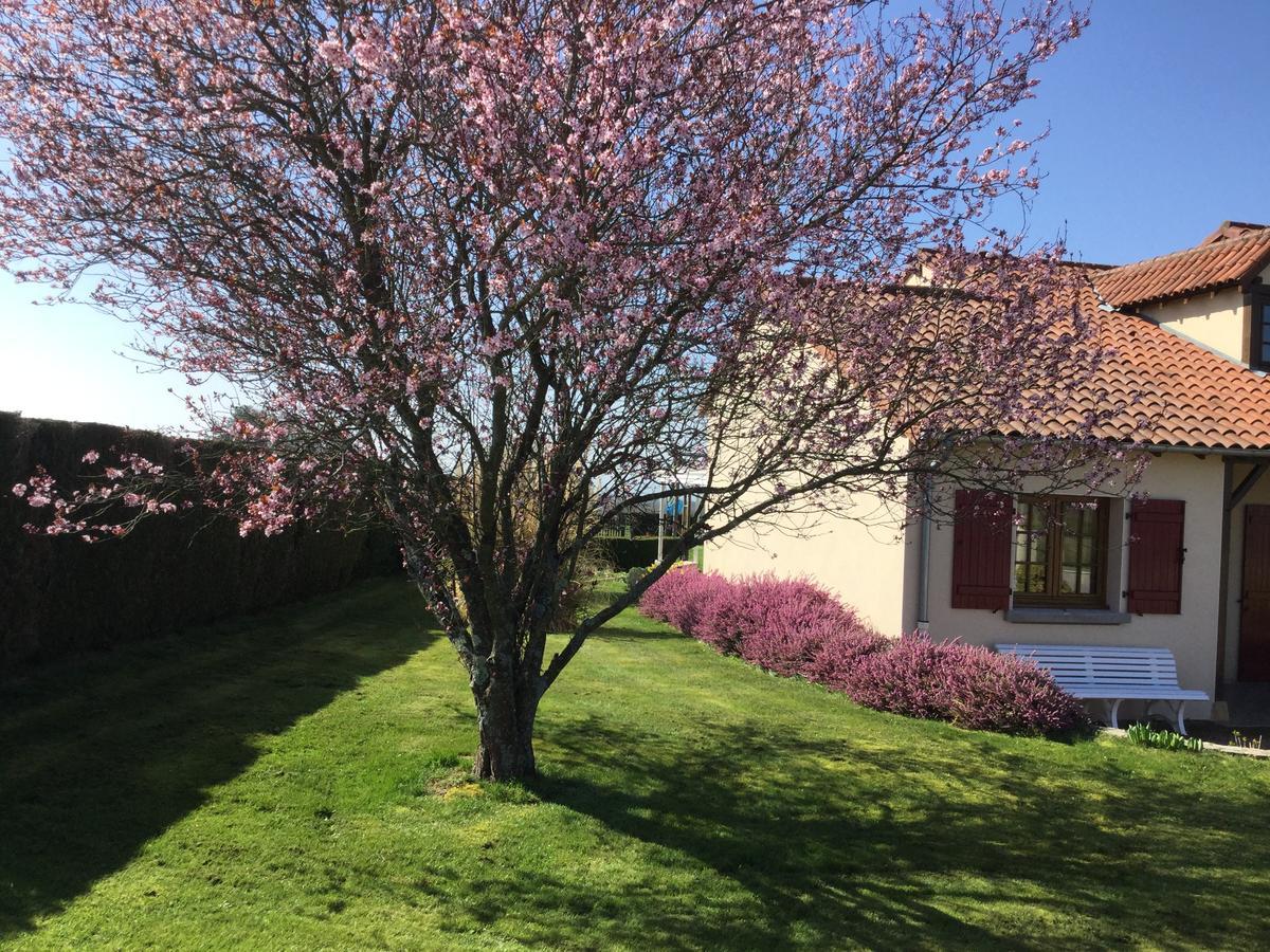 Gite De Belle Vue Semur-en-Brionnais Exteriör bild